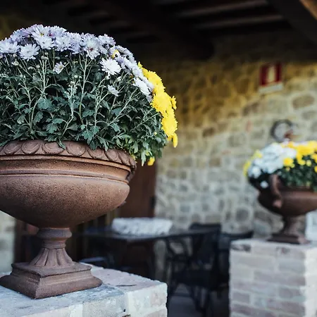 Borgo Del Faggio Montepulciano