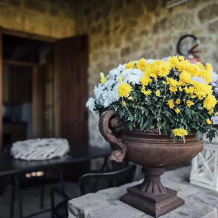 Borgo Del Faggio Montepulciano